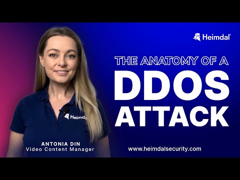 DDoS Attacks Explained: M.O. | Consequences | Protective Measures