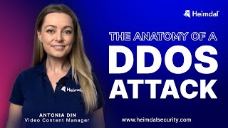 DDoS Attacks Explained: M.O. | Consequences | Protective Measures