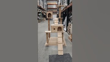 Triple Decker Cat Tree! #shorts #cats #catlover