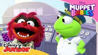 Animal The Perfect Pilot Muppet Babies Disney Channel Africa