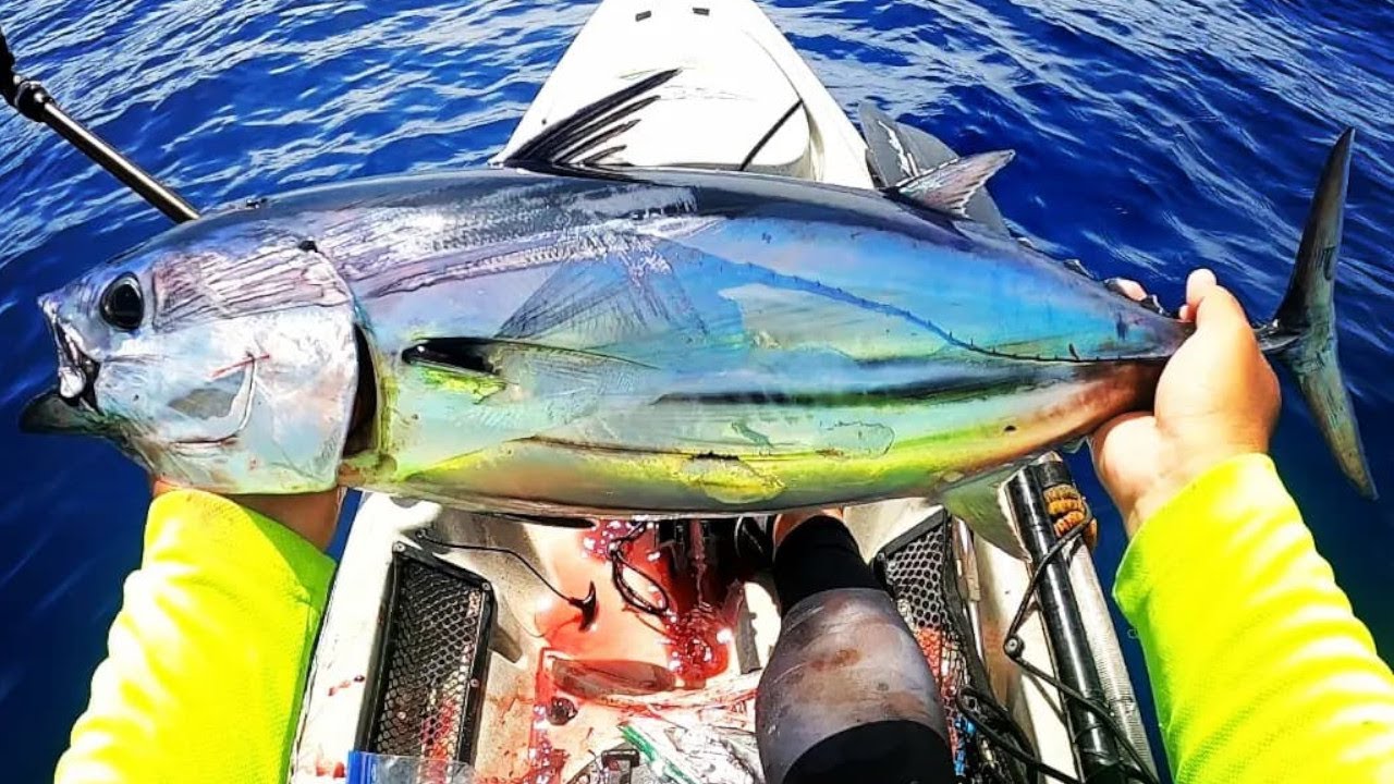 Hawaii Kayak Fishing Catching Aku and Mahi from a Wave Glider Buoy