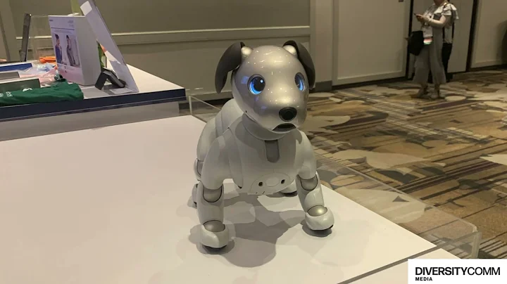 DiversityComm at the Forefront: The 39th CSUN Assistive Technology Conference Recap