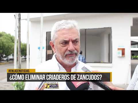 ¿Cómo eliminar criaderos de zancudos?