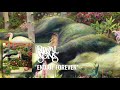 Rival sons end of forever official audio