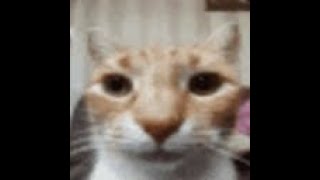 Buying things In DMM