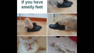 epic funny pictures from 9gag.
