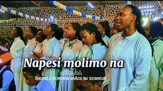 Napesilyrics By Chorale Rendons Grâce Au Seigneur Ur Caff Busogo