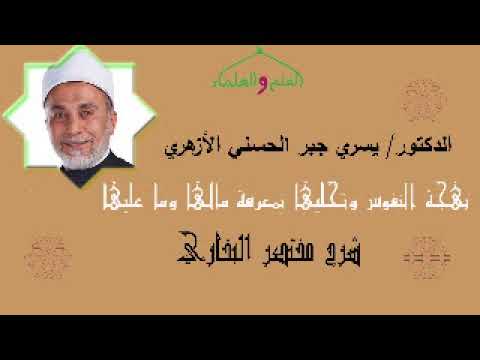 29 تابع حديث البيعة بهجة النفوس وتحليها بمعرفة مالها وما عليها لفضيلة الدكتور يسري جبر الأزهري