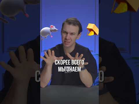 Лайфхаки маркетплейсов: Как распознать подделку?
