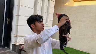 عائلة فيحان Sri Lanka Vlip Lv