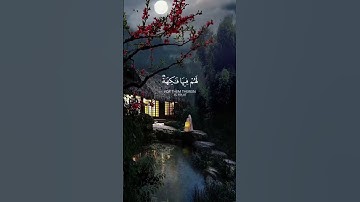 تلاوة هادئة جداً للقارئ رعد الكردي🎧😴😍