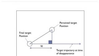 forward displacement attention and the multiple object tracking mot task