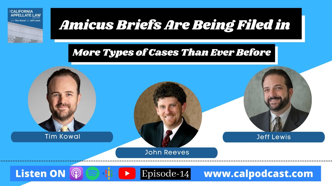 Amicus Briefs Are Being Filed in More Types of Cases Than Ever Before