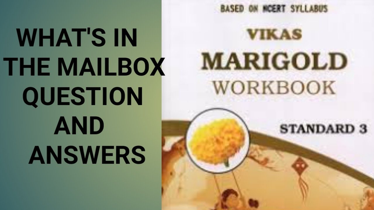 NCERT CLASS 3 MARIGOLD WORKBOOK UNIT 8 WHAT'S IN THE MAILBOX📮