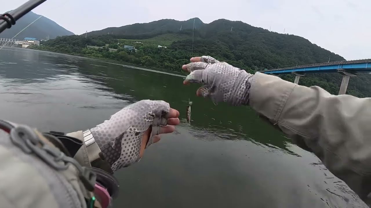 2시간 넘게 날려먹은 북한강쏘가리 낚시영상!