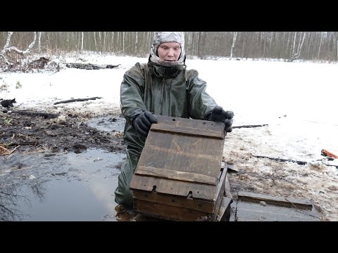 Видео: Ящики из болота сохранились как новые! Раскопки Юрий Гагарин