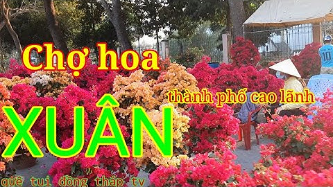 chợ hoa xuân/thành phố cao lãnh đồng tháp