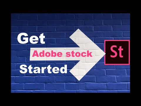 ADOBE STOCK CONTRIBUTOR: A field guide for beginners to getting started