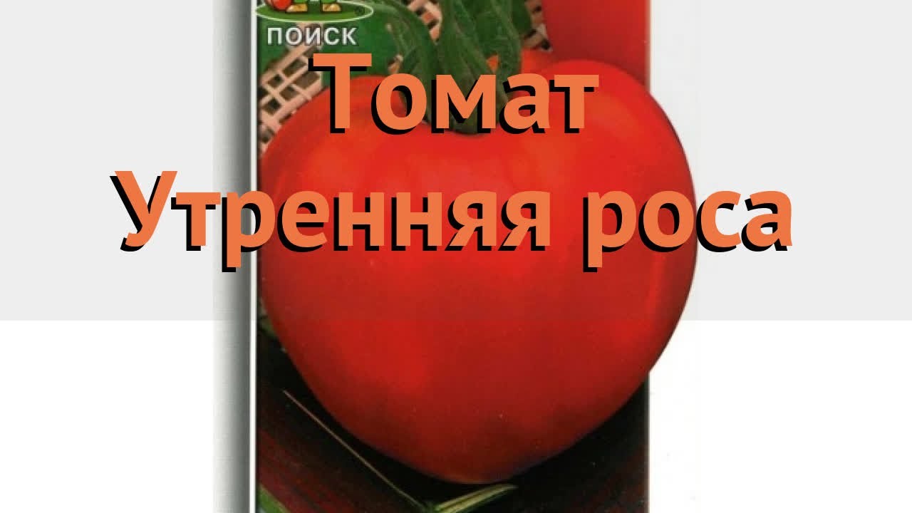 Томаты Росе Фото