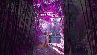 Infrared Photography Aerochrome IRFX Infrared Photography Aerochrome IRFX