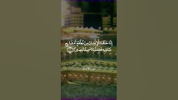 إِمَّا شَاكِرًا وَإِمَّا كَفُورًا || سورة الإنسان || علي جابر