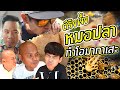 ตีรังผึ้งหมอปลา มาทำ โอมากาเสะ อาหาร สุดหรู!! Feat: หมอปลา,Nickynachat, Koboykrush [คนหลงรส EP. 66]