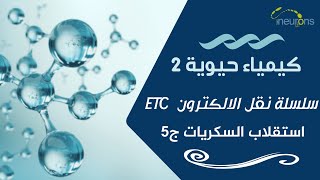 ️‍️ كيمياء حيوية 2 / بحث استقلاب السكريات/ سلسلة نقل الالكترون ETC️