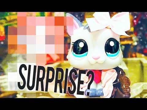 FAKE LPS Surprise in the mail?