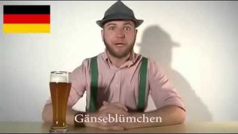 German Language Compared to other Languages