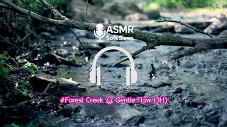Forest Creekgentle Flow Sound For Deep Sleep Meditation Relaxation3 H.เสยงลำธารในปานำไหลเบาๆ
