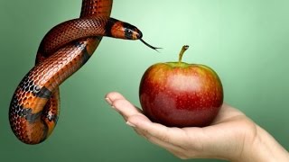 El Pecado Deliberado