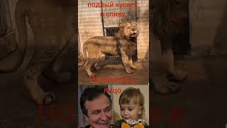 нет чести без чести🤗 #animals #гордимся #собой #рекомендации #luck #game #victory #shortvideo #glory