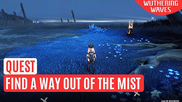 Find a way out of the mist Wuthering Waves