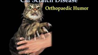 Cat Scratch fever   Everything You Need To Know  Dr. Nabil Ebraheim
