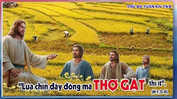 Thánh Lễ Trực Tiếp Lúc 04g30 - Thứ Ba Tuần XIV TN B - Ngày 06/07/2021 - Tại Gx Thanh Sơn.