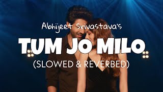 Tum Jo Milo [Slowed   Reverb] - Abhijeet Srivastava | Freddy 2022 | Lofi edits