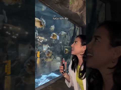 KOK CUEK BANGET JADI IKAN