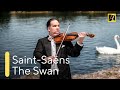 SAINT-SAËNS: The Swan | Antal Zalai, violin 🎵 classical music