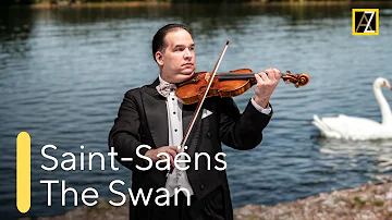 SAINT-SAËNS: The Swan | Antal Zalai, violin 🎵 classical music