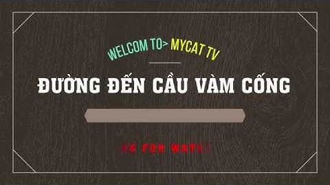 Hướng Dẫn Đi Cầu Vàm Cống Bờ Cần Thơ Và Long Xuyên Từ QL 91 Và QL 80