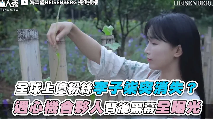 【全球上億粉絲李子柒突消失 遇心機合夥人背後黑幕全曝光】@heisenberg0717 - 天天要聞