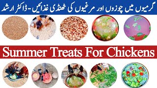 Summer Food For Chickens | How to Keep Chickens Cool in Summer | Dr. ARSHAD