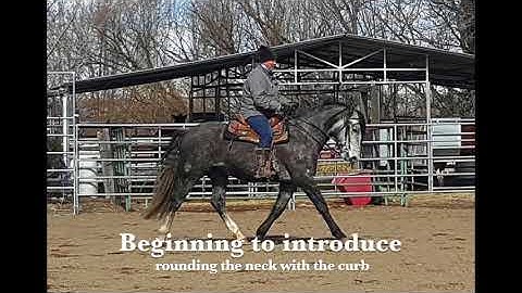 A brief introduction to the double bridle