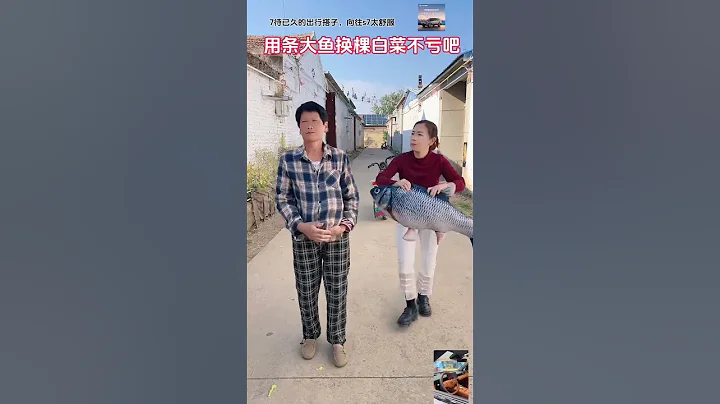 3260748_1998422815905320960.mp4