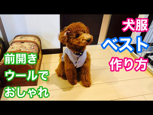 犬服型紙 既製品の洋服から型紙の作り方 Litetube