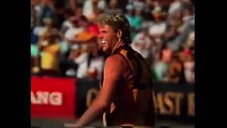 Hawthorn Hawks vs Brisbane Bears - Rd 17 1990 Highlights