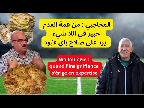 315 المحاجبي من قمة العدم خبير في اللا شيء يرد على صلاح باي عب ود