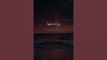 من عمل صالحان فلنفسه ومن أساء فعليها/# سورة الجاثية# القارئ احمد النفيس #
