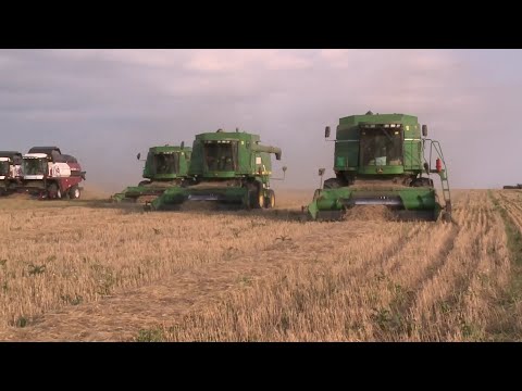 'Ситуация катастрофическая': казахстанские