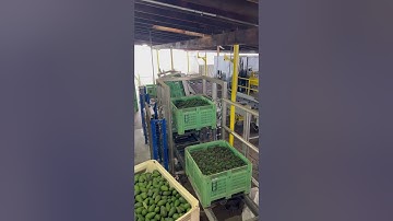 Boost Your Production Efficiency w/ @packlinetech High-Speed Auto Bin Handling Line #ag